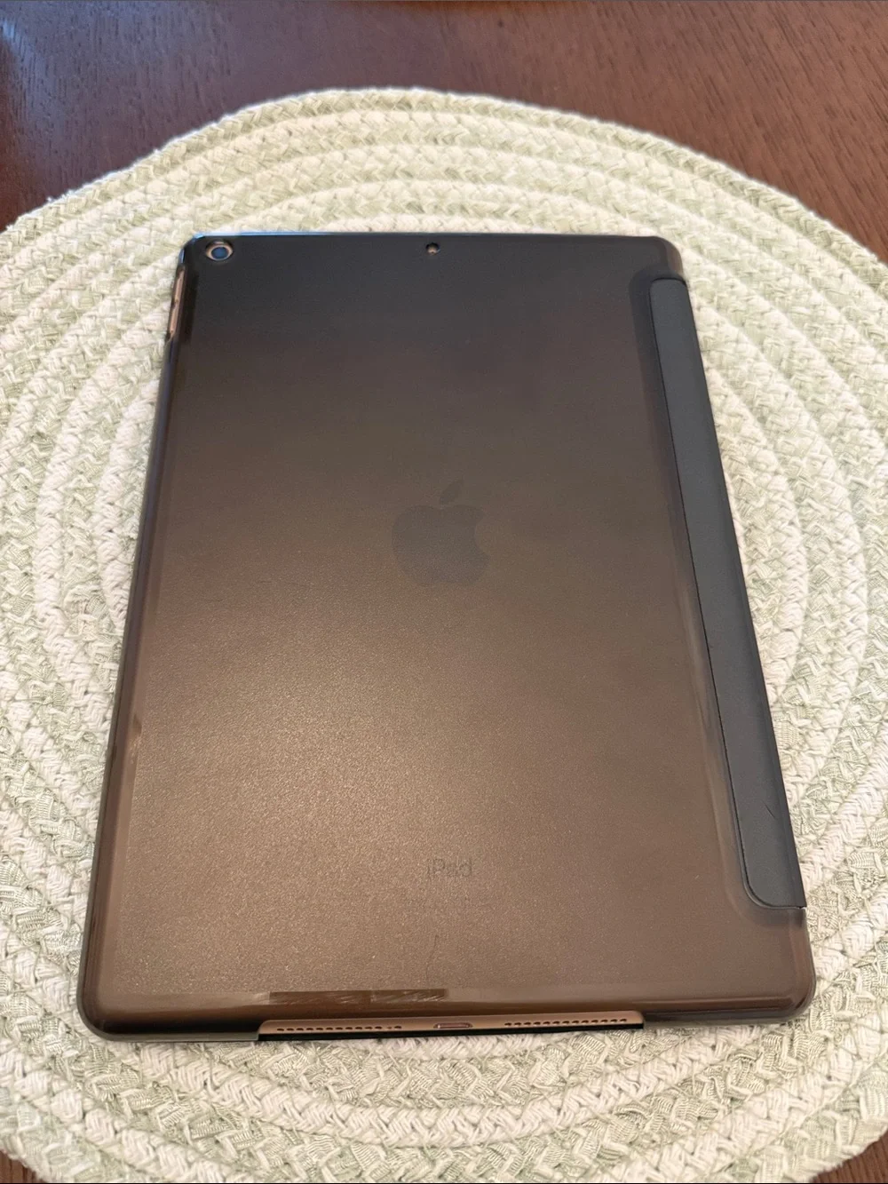 Apple iPad with White Front and Gold Back